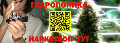 ПСИЛОЦИБИНОВЫЕ ГРИБЫ Красноармейск