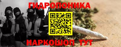 хмурый Кохма